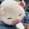 云舟有一只小猪