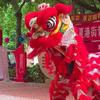 夏港龍獅