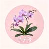 任老师
