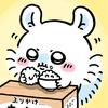 观赏鱼观赏云