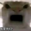 斗地主新一