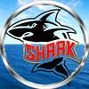 SharK丶