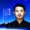 夏光明决策学