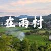 在雨村