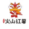 广东佳淳农业科技有限公司