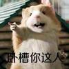 厌倦