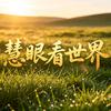 阳光财经