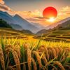 厨香源记