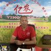 天利丰糖蜜功能肥