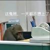 深漂的吗喽
