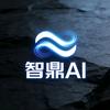 智鼎AI