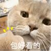 大当短剧