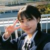 听风合欢花