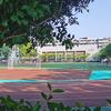 Summerain02353