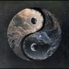行藏天下