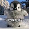爱吃冰淇淋