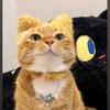 偷吃小野猫