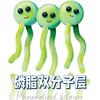 林荫和番茄