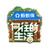 向往的生活