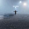 风雨半生