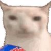 猫meme推文
