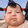 泡菜哥