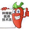小康说辣椒