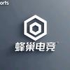 蜂医是我