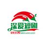 短剧迷
