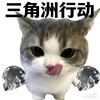 雪悸（三角洲行动）