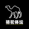 骆驼体坛