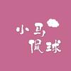 小马侃球