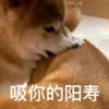 是惜然呦~