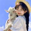 阳光影视
