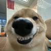 唐醋里脊