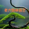 老六园林➕本草