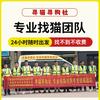 全国专业找猫团队