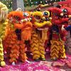 鸿圣堂龙狮团司令