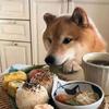 拌饭玩游戏