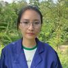 娟子爱种菜【视频同款在橱窗】