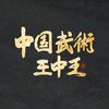 中国武术王中王