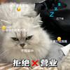 韩小歪