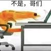 无痕吖