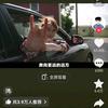 qqw