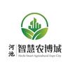 河池智慧农博城