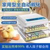 博实孵化器0基础成功孵化