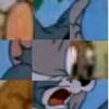 儒安大大