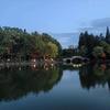 风影匆匆