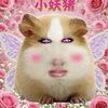 Gin.yu