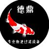 德鼎鱼池过滤老杨